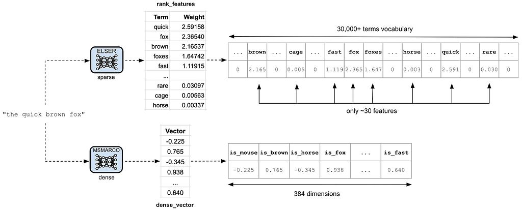 Diagram which compares sparse and dense model encoding in Elasticsearch/